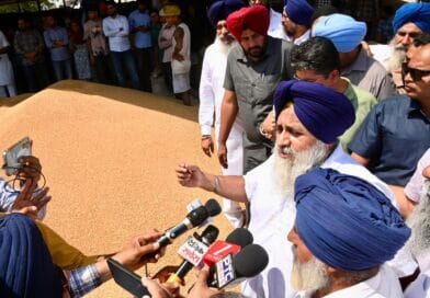 गेंहू की नमी मानदंडों में ढील न देने के लिए CM मान जिम्मेदार, किसान परेशान: सुखबीर सिंह बादल